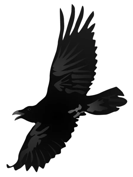 Dessin vectoriel d'un corbeau volant — Image vectorielle