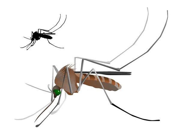 Vektörler sivrisinek — Stok Vektör