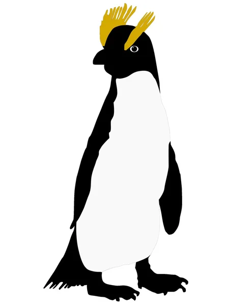 Dibujo vectorial del pingüino — Vector de stock