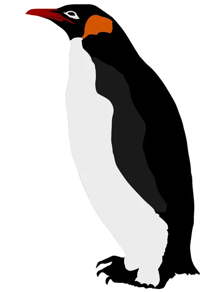 ペンギン天皇 — ストックベクタ