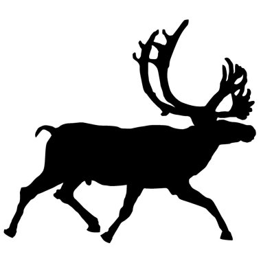 Vector illustration of reindeer on a white background clipart