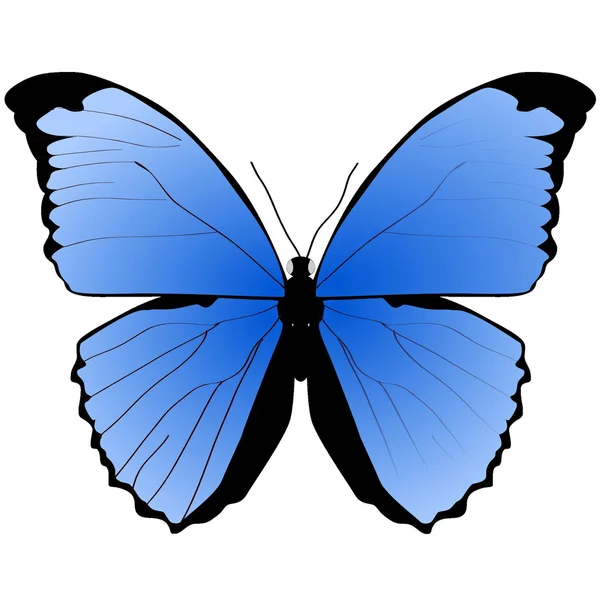 La mariposa azul sobre un fondo blanco — Vector de stock