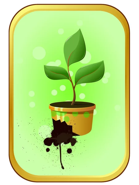 Sprout in a pot — Stock Vector