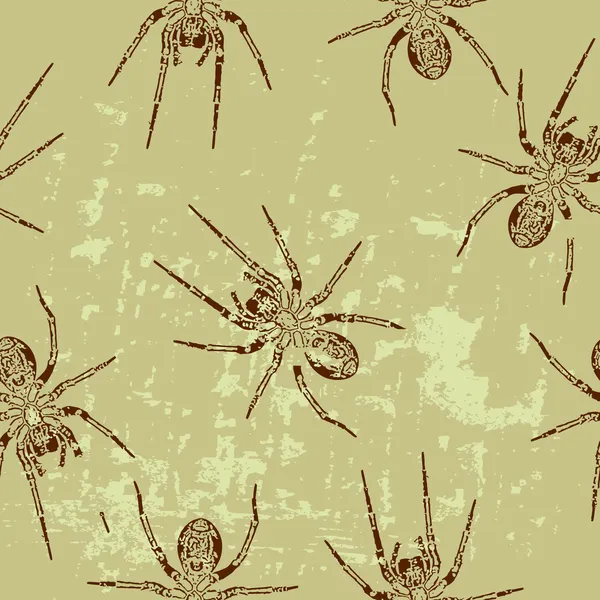 Bir örümcek ile sorunsuz doku — Stok Vektör
