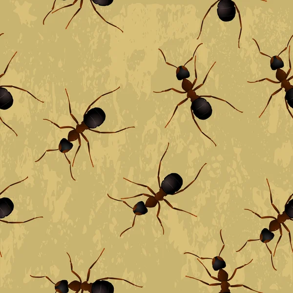 Nahtlose Textur mit Ameisen — Stockvektor