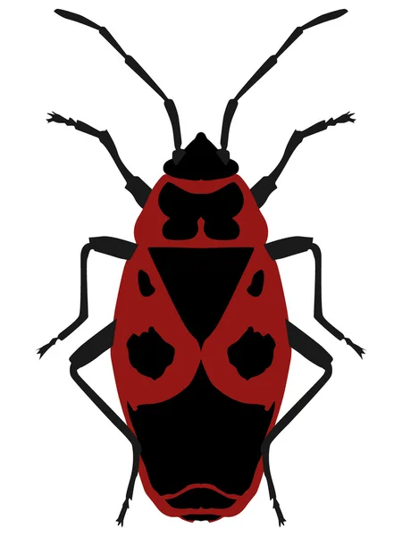 Vector illustration Beetle soldier (pyrrhocoris apterus) on a wh — Stock Vector