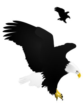 Vector illustration of eagle clipart