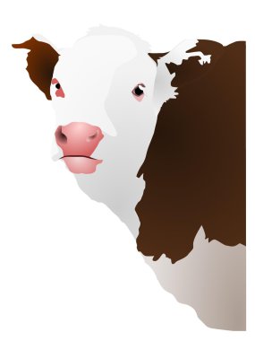 Vector illustration of a cow's head clipart