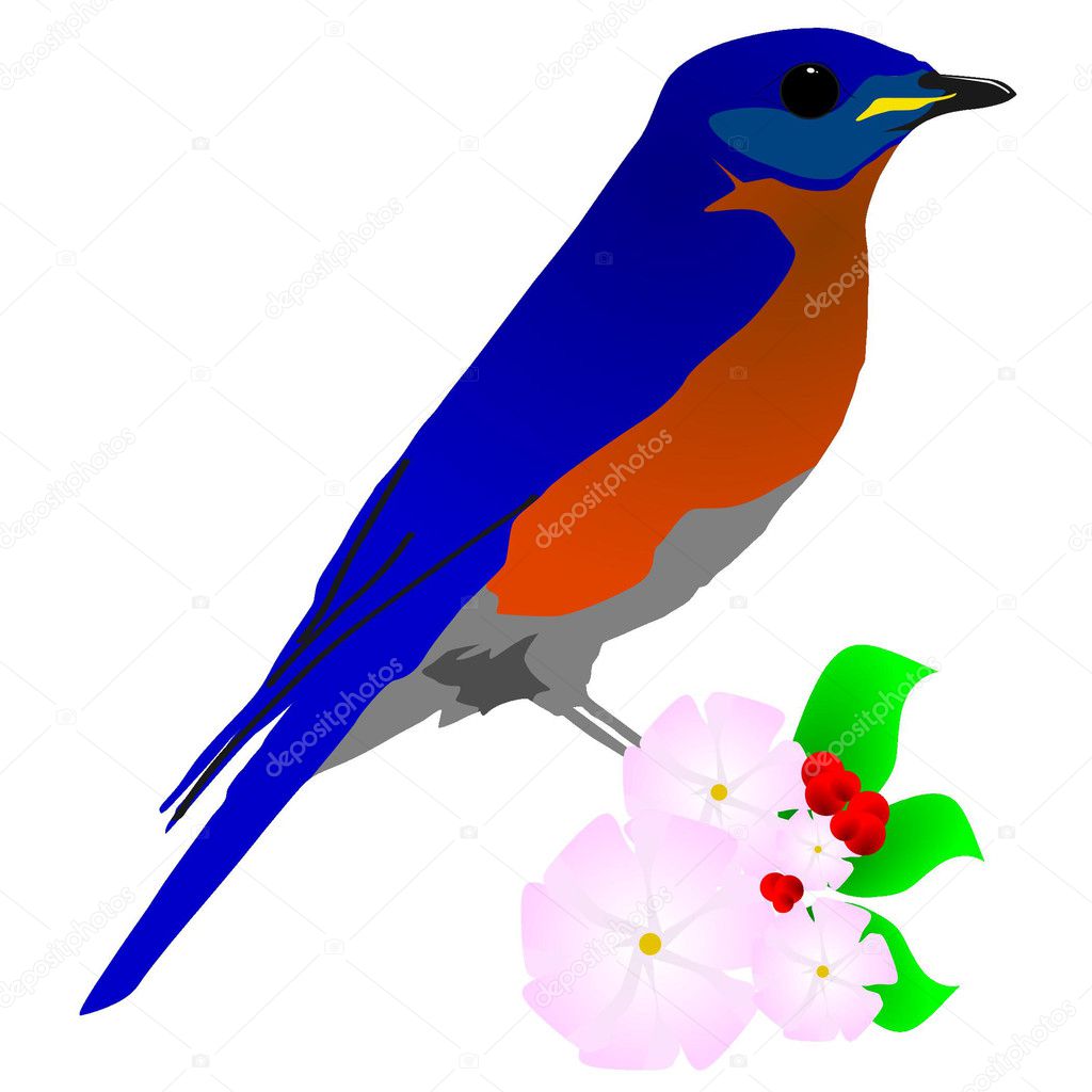 Vector image of a bird on a branch with a flower