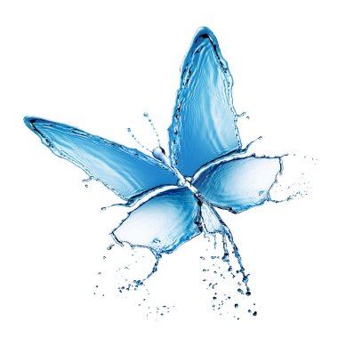 Water splash buttefly isolated clipart