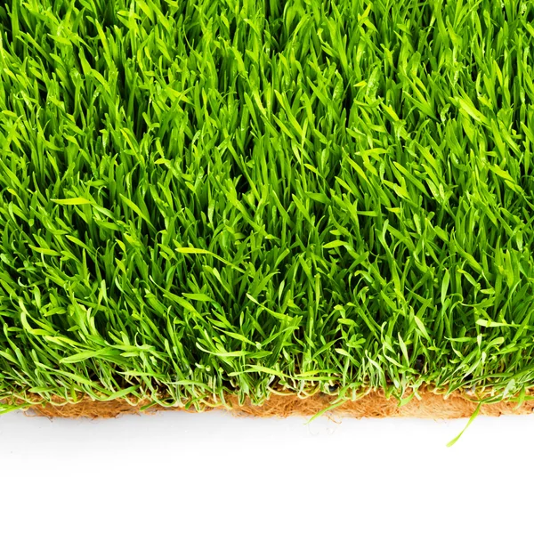 Patrón de hierba saludable — Foto de Stock