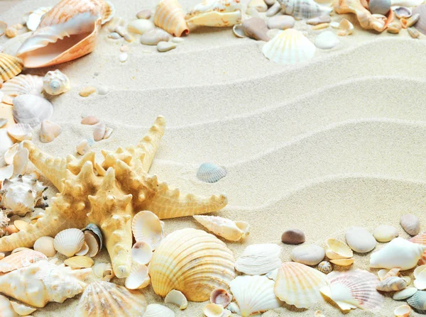 Песочный фон с раковинами и морской звездой — стоковое фото