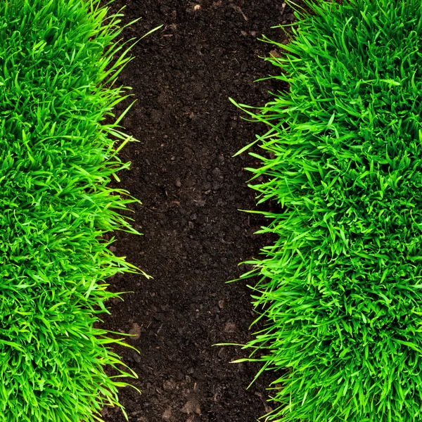 Healthy grass and soil — Stockfoto