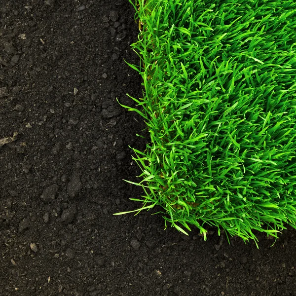 健康な草と土 — ストック写真