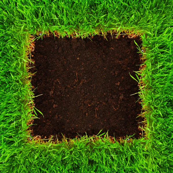 Healthy grass and soil — Stockfoto