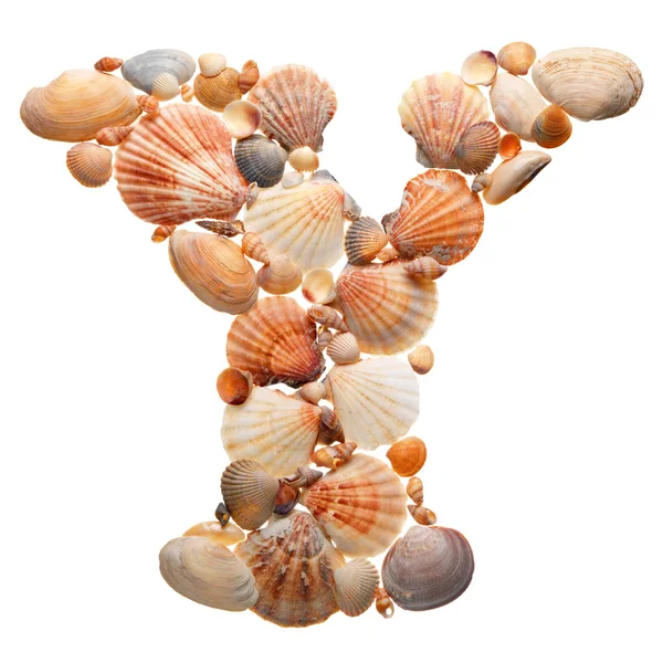 Alfabeto de verano hecho de conchas marinas durante el viaje —  Fotos de Stock