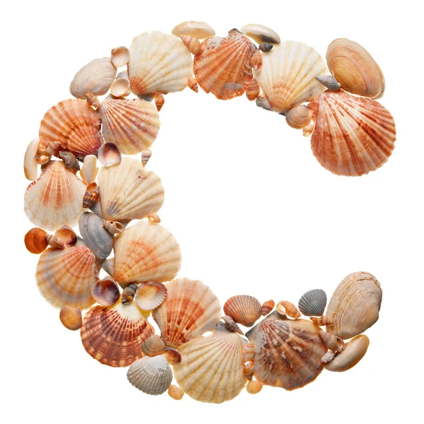 Summer alphabet made of seashells — Stok fotoğraf