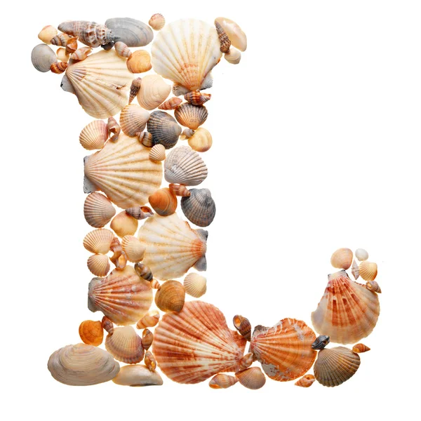 貝殻から成っている夏のアルファベット — ストック写真
