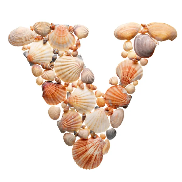 Summer alphabet made of seashells — Stock Photo, Image
