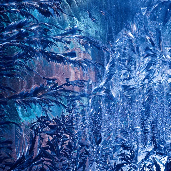 Frosty patroon op glas — Stockfoto