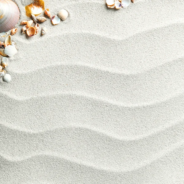 Sfondo di sabbia con conchiglie e stelle marine — Foto Stock