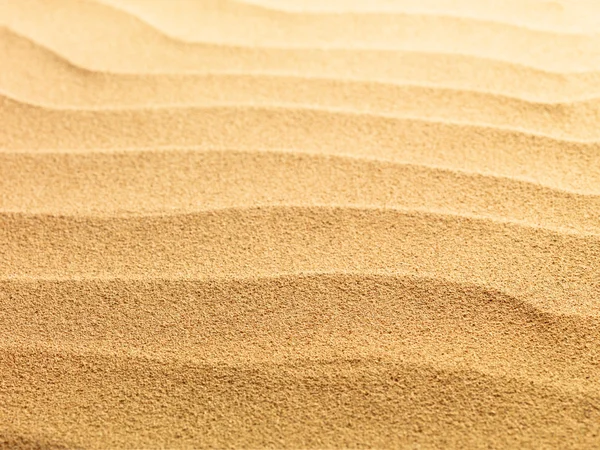 Beach sand background — Stock Photo, Image