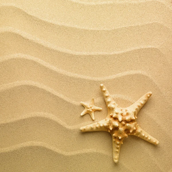 배경으로 모래와 불가사리 — 스톡 사진