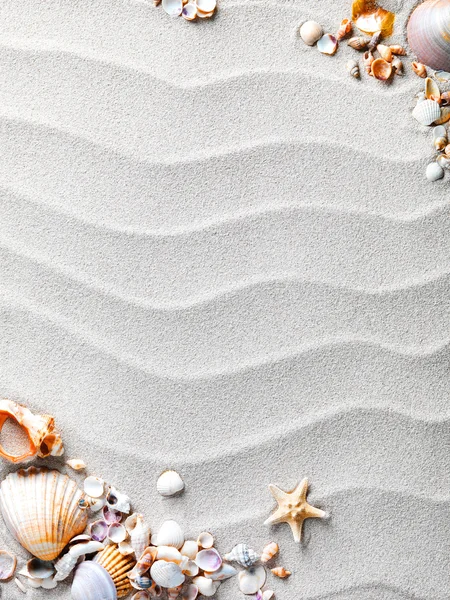 Άμμο φόντο με κοχύλια και αστερίες — Φωτογραφία Αρχείου