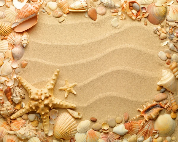 Arka planda kum olan deniz kabukları — Stok fotoğraf