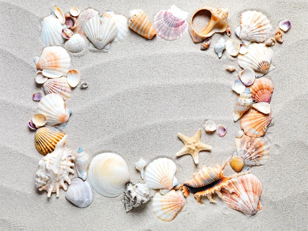 Homok háttérrel, kagyló és a tengeri csillag — Stock Fotó