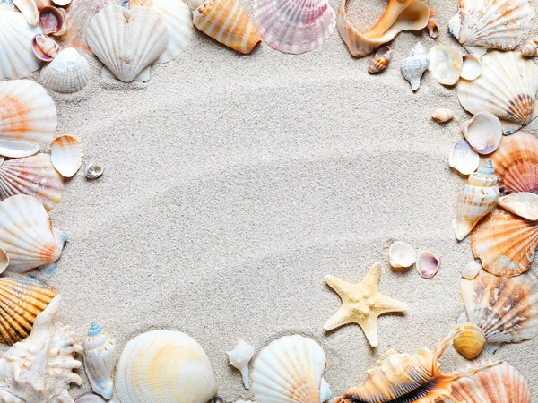 Sand background with shells and starfish — Stok fotoğraf