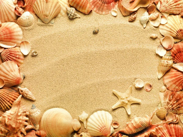 Mořské mušle s pískem jako pozadí — Stock fotografie