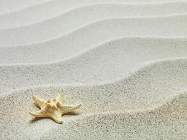 Estrella de mar con arena como fondo —  Fotos de Stock
