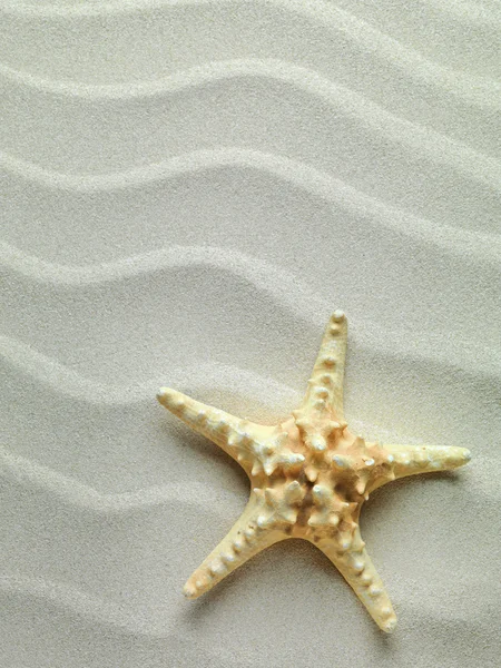 Starfish com areia como fundo — Fotografia de Stock