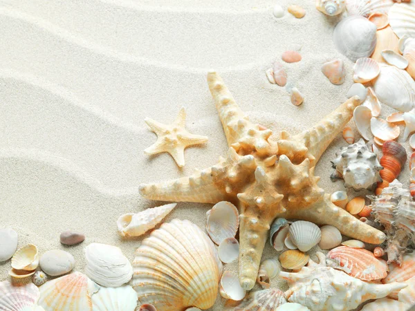 Fundo de areia com conchas e estrelas do mar — Fotografia de Stock