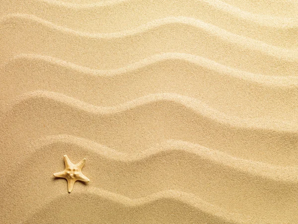 배경으로 모래와 불가사리 — 스톡 사진