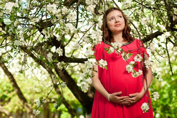 Zwangere vrouw in park — Stockfoto