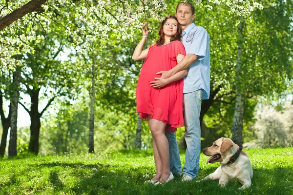 Беременная женщина в парке со своим мужем — стоковое фото