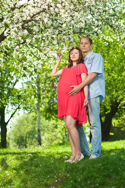 Беременная женщина в парке со своим мужем — стоковое фото