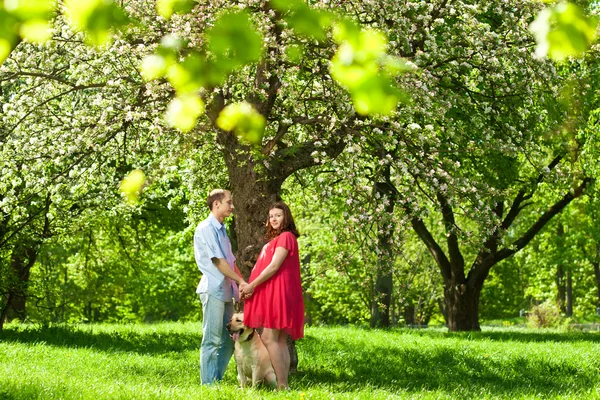 Pregnant woman in park with her husband — Stock Photo, Image