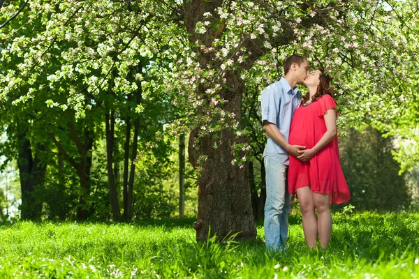 Pregnant woman in park with her husband — Stok fotoğraf