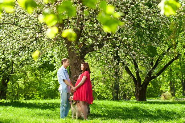 Pregnant woman with her husband in park — Stockfoto