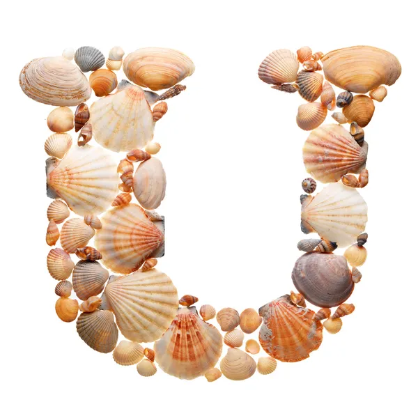 Summer alphabet made of seashells Royalty Free Stock Images