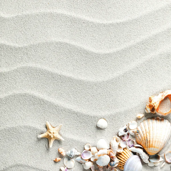 Песочный фон с раковинами и морской звездой Лицензионные Стоковые Фото