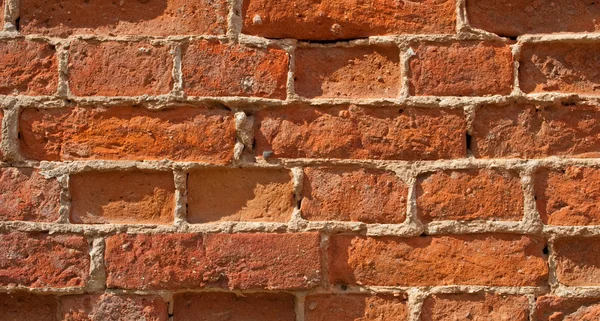 stock image Brick Wall