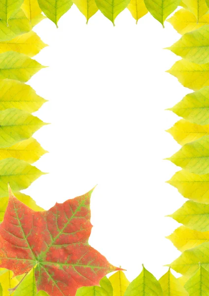 Keret (őszi levelek) — Stock Fotó