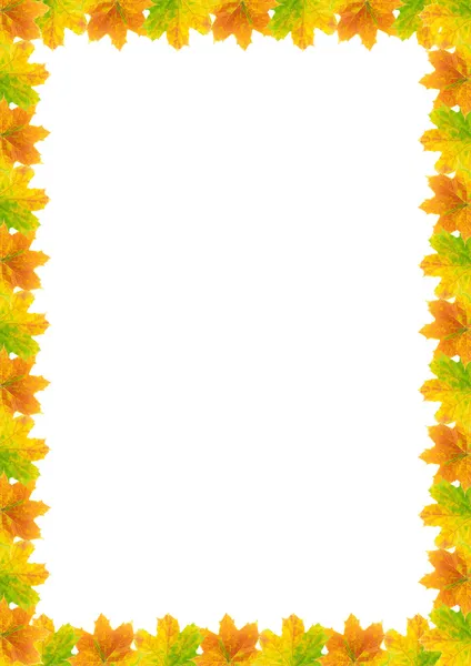 stock image Autumn Leaf Frame A4(210x297mm)