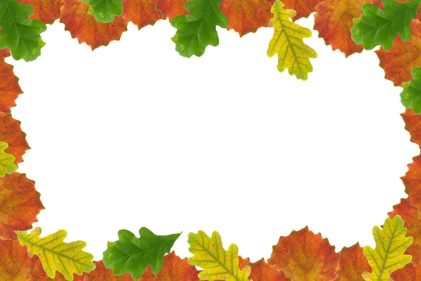 Jesień liść ramki Zdjęcie Stockowe