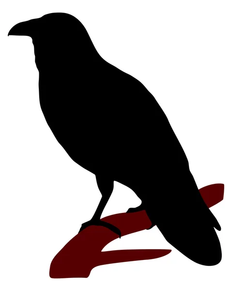Raven silueta — Stockfoto