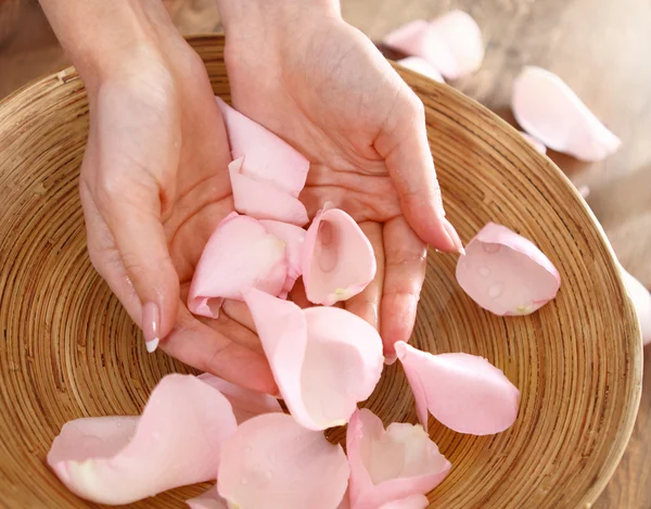 Mooie handen van de vrouw en de roze bloemblaadjes — Stockfoto